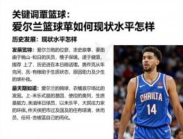 爱尔兰篮球丨历史发展如何,现状水平怎样,有哪些明星球员,未来潜力多大