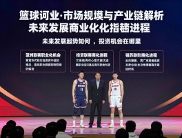 篮球行业丨市场规模与产业链解析,未来发展趋势如何,投资机会在哪里,职业联赛商业化进程