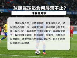 球迷骂球员为何屡禁不止？背后心理是什么,法律如何界定处罚,国外如何处理足球流氓