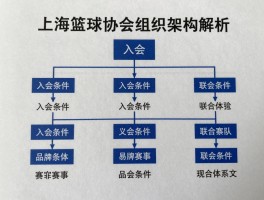 上海篮球协会组织架构解析,入会条件有哪些,官方联系方式是什么,品牌赛事介绍