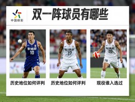 双一阵球员有哪些,历史地位如何评判,现役谁入选过