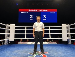 边裁搏击,搏击边裁怎么打分,评分标准有哪些,如何成为搏击边裁？