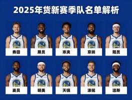 勇士队球员名单2025,新赛季阵容解析,球员年龄结构分析,能否冲击总冠军？