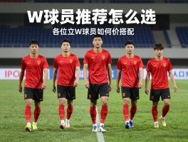 W球员推荐怎么选,哪些W球员性价比高,各位置W球员如何搭配