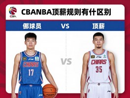 顶薪球员是什么意思，CBA和NBA顶薪规则有什么区别，哪些球员是顶薪