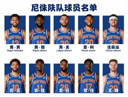 纽约尼克斯队球员名单,阵容深度如何,战术体系怎样,新赛季前景展望