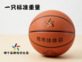 一只篮球丨标准重量是多少,如何选择尺寸,哪个品牌性价比高
