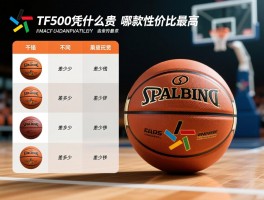 斯伯丁篮球的价钱表,不同型号差多少钱,TF500凭什么贵,哪款性价比最高