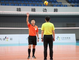 气排排边裁，边裁判罚手势有哪些，如何判断界内界外球，边裁和主裁如何分工配合