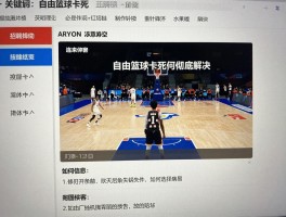 自由篮球卡死如何彻底解决,游戏掉帧怎么办,连接服务器失败如何修复