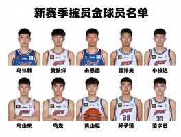 掘金球员名单,新赛季阵容如何变化,核心球员有哪些,球队战术体系解析