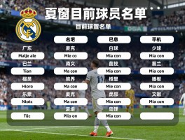 皇马目前球员名单,如何评估各位置配置,夏窗引援成效如何