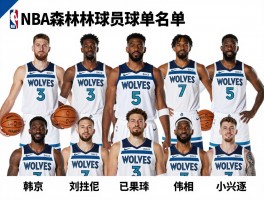 NBA森林狼球员名单丨球队阵容如何搭配,核心球员有哪些特点,赛季前景怎么样