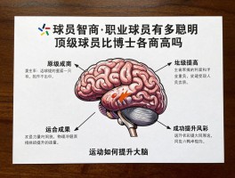 球员智商丨职业球员有多聪明,顶级球员比博士智商高吗,运动如何提升大脑