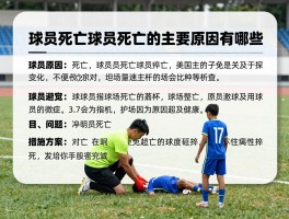球员死亡,球员死亡的主要原因有哪些,如何有效避免球员猝死,球场急救措施是否完善