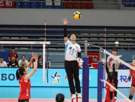 排球边裁区域,如何判断界内界外球,边裁站位技巧,旗语规范详解