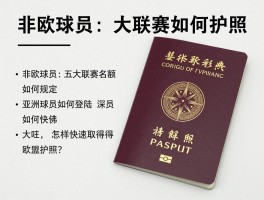 非欧球员：五大联赛名额如何规定，亚洲球员如何登陆，怎样快速取得欧盟护照？
