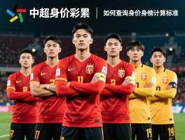 中超身价球员,最新排名,哪些球员升值快,如何查询身价,身价计算标准
