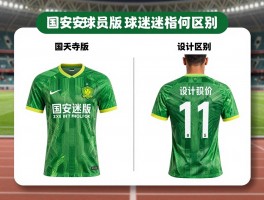 国安球员版,与球迷版有何区别,正品选购指南,设计解读