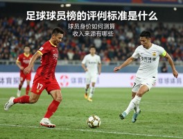 足球球员榜的评判标准是什么,球员身价如何测算,收入来源有哪些