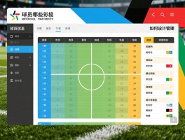 球员信息表怎么做,包含哪些字段,如何设计管理