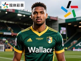 Wallace球员有哪些传奇,现役谁最突出,未来前景如何
