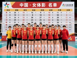 中国女排球员名单,阵容构成,球员号码,位置分工,年轻球员有哪些,老将作用
