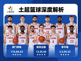土超篮球深度解析,联赛水平如何,豪门球队有哪些,球员薪资怎样,中国球员表现如何