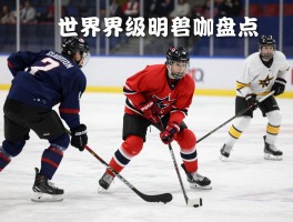冰球球员丨装备有哪些,职业路径如何选择,世界级明星盘点