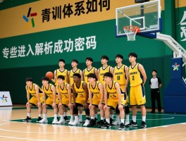 浙江篮球青年队青训体系如何,有哪些潜力新星,如何进入青年队,专家解析成功密码