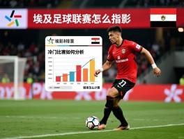 足彩埃及,埃及足球联赛怎么投注,冷门比赛如何分析,赔率怎么计算