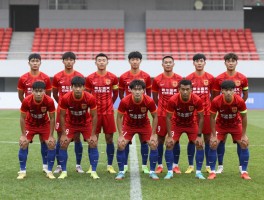 鲁能新赛季球员名单,阵容有何变化,新外援表现如何,青训球员有哪些