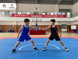 篮球和散打深度对比，体校如何选择，防身效果哪个更好，哪个更适合青少年