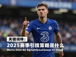 切尔西新球员，2025赛季引援策略是什么，新援表现如何评估，阵容如何年轻化