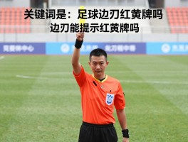 足球边裁红黄牌,边裁能出示红黄牌吗,判罚权限有哪些,规则如何解读