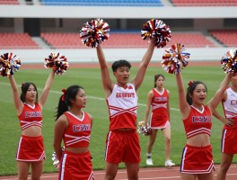 啦啦队和球员,如何划定边界,激情加油的科学,团队精神如何塑造