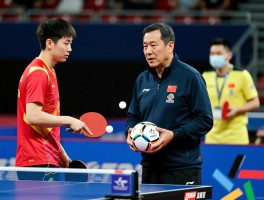 刘恒球员全解析,足球刘恒现状如何,国乒刘恒执教成绩,如何区分多位刘恒？