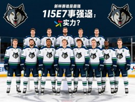 森林狼队球员名单最新,阵容有何变化,新赛季谁是最强球员,球队实力如何