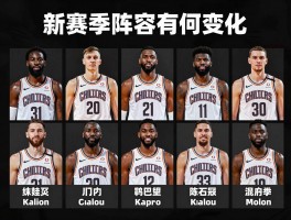 鹈鹕球员名单，新赛季阵容有何变化，核心球员是谁，伤病情况如何