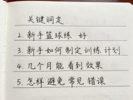 把篮球练好,新手如何制定训练计划,几个月能看到效果,怎样避免常见错误