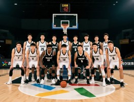 梦想篮球队完全解读,如何组建最强阵容,成功秘诀是什么,经典案例有哪些