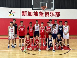 新加坡篮球俱乐部,职业球队有哪些,如何选择适合的篮球训练营,青少年培训体系怎么样