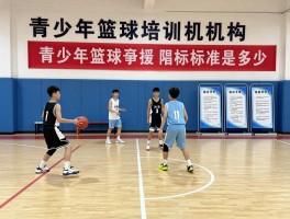 青少年篮球培训机构：收费标准是多少,如何选择适合的机构,课程体系有什么区别？