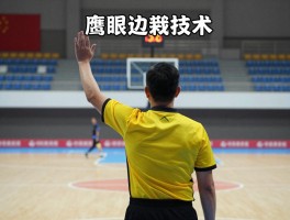 鹰眼边裁技术,鹰眼技术原理是什么，如何辅助裁判判罚，应用在哪些体育项目