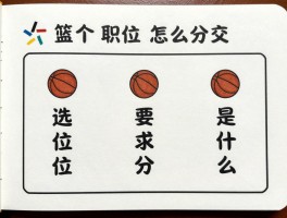 篮球个职位怎么分工,如何选择位置,职责要求是什么