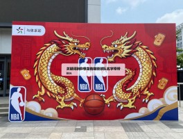 篮球队带龙有哪些球队名字带龙,龙年NBA有哪些庆祝活动,篮球队龙元素如何设计