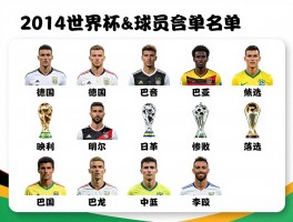 2014世界杯球员名单丨德国队怎么夺冠,巴西队为何惨败,哪些球星落选