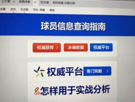 球员信息查询指南，如何快速获取准确数据,权威平台有哪些,怎样用于实战分析