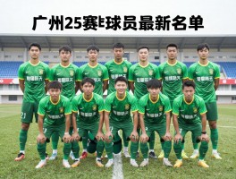 广州恒大球员最新名单,2025赛季阵容有何变化,年轻球员有哪些亮点