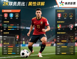 2K球员属性详解：属性如何影响比赛,各位置关键属性是什么,高性价比球员怎么选